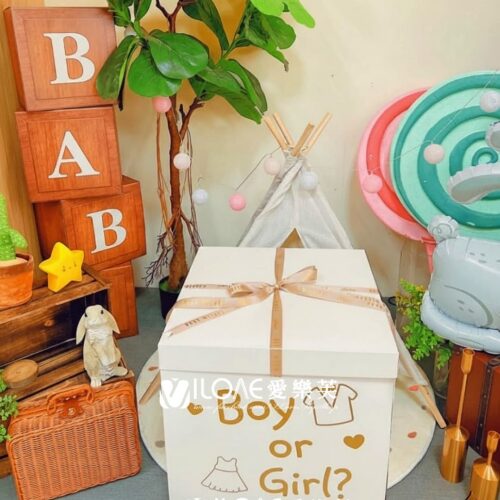 D02 性別揭曉<br><span style="font-size: 20px;">(揭曉禮物盒-白盒)</span>