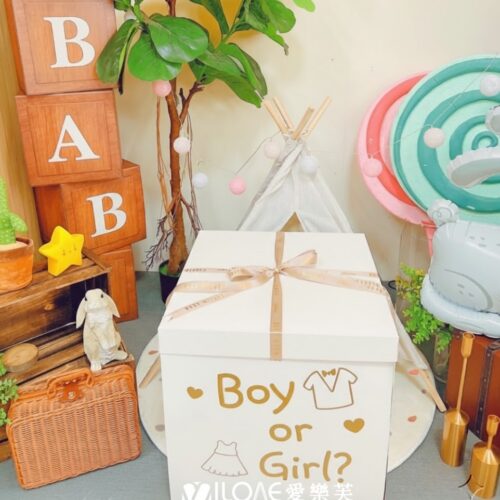 D02 性別揭曉<br><span style="font-size: 20px;">(揭曉禮物盒-白盒)</span>