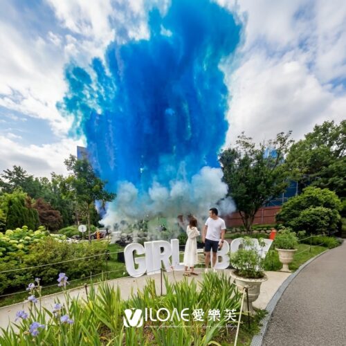 f72f7b83-648b-4e4c-87fb-e7ec89fab612 C01 性別揭曉彩煙