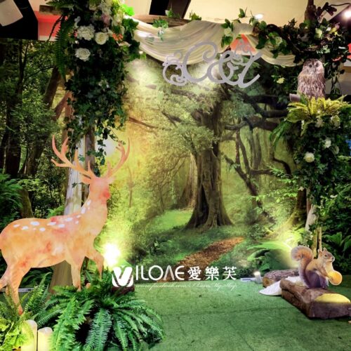 B19 婚禮佈置<br><span style="font-size: 20px;">(森之確幸)</span>