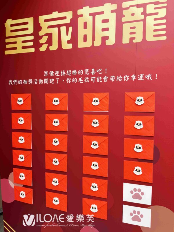 開幕佈置<br><span style="font-size: 20px;">(皇家盟寵)</span>：圖片 4