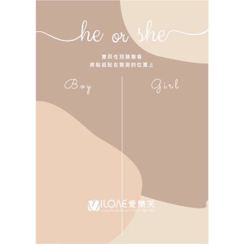 性別揭曉版<br><span style="font-size: 20px;">(奶茶款)</span>