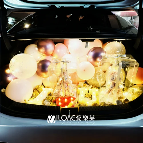 車廂佈置<br><span style="font-size: 20px;">(璀璨愛戀)</span>