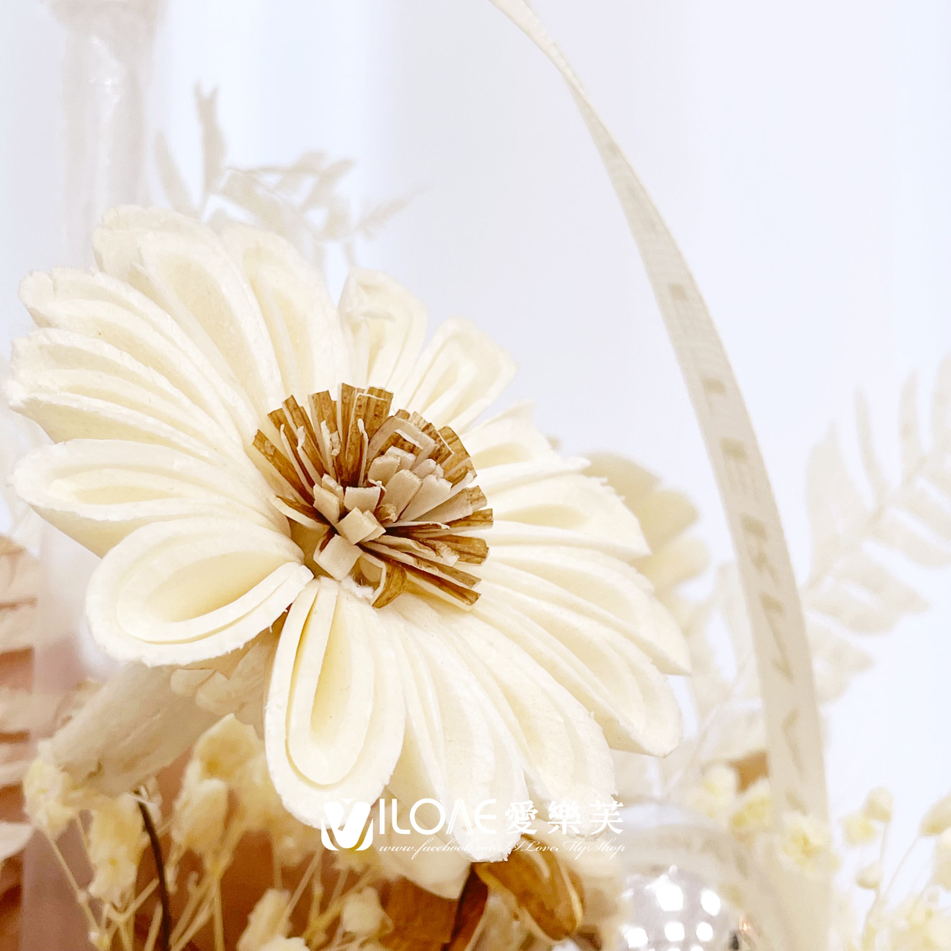 波波花束<br><span style="font-size: 20px;">(大展鴻圖)</span>:圖片 4