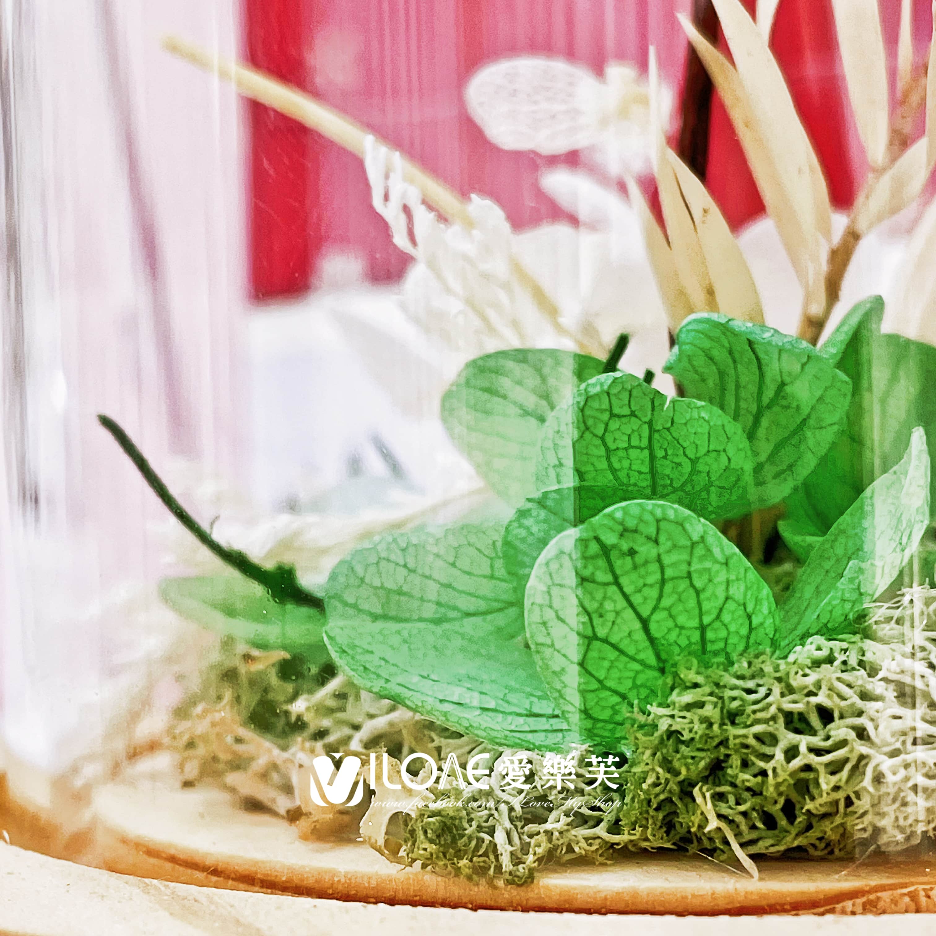 玻璃花盅<br><span style="font-size: 20px;">(雪國心願玻璃盅)</span>:圖片 2