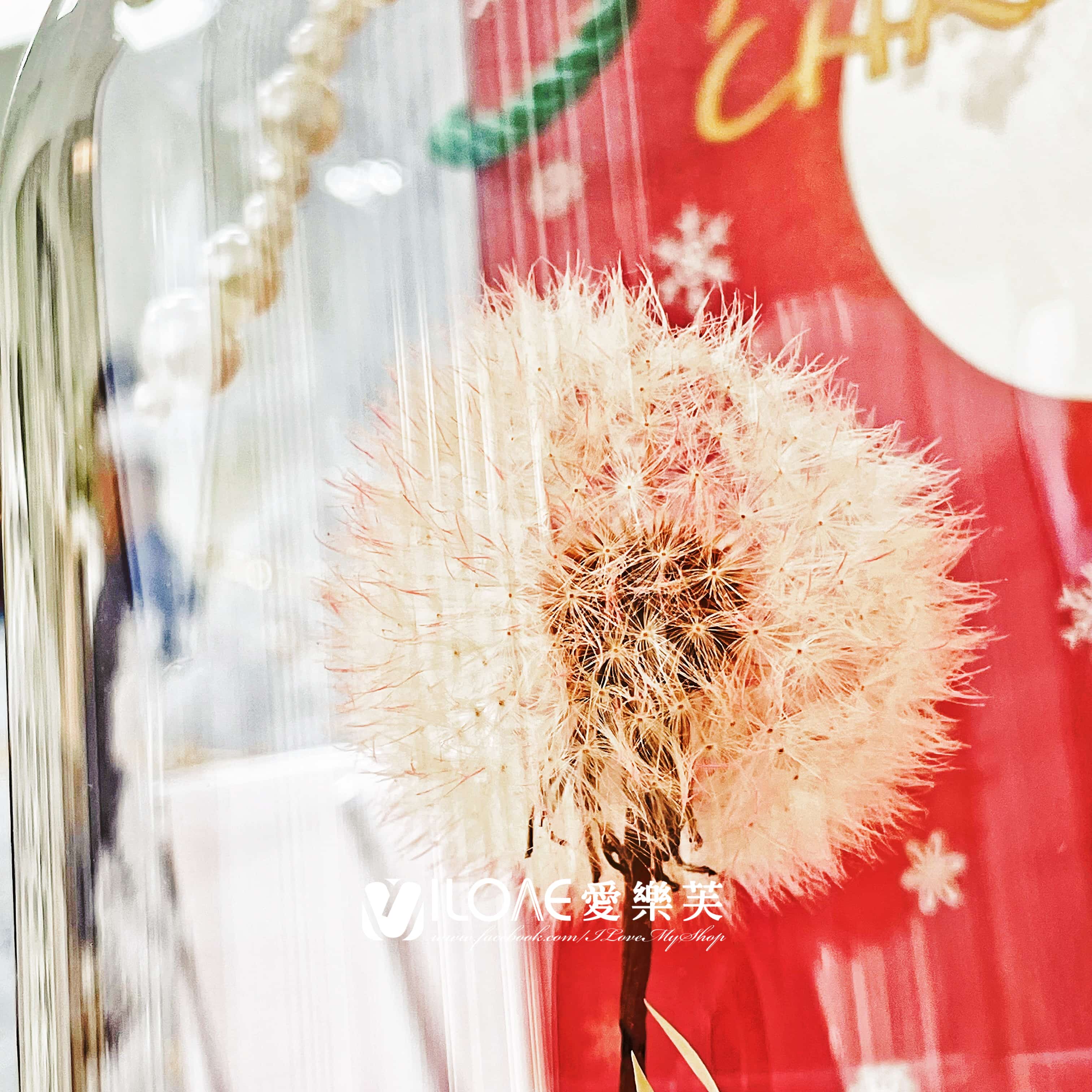 玻璃花盅<br><span style="font-size: 20px;">(雪國心願玻璃盅)</span>:圖片 3