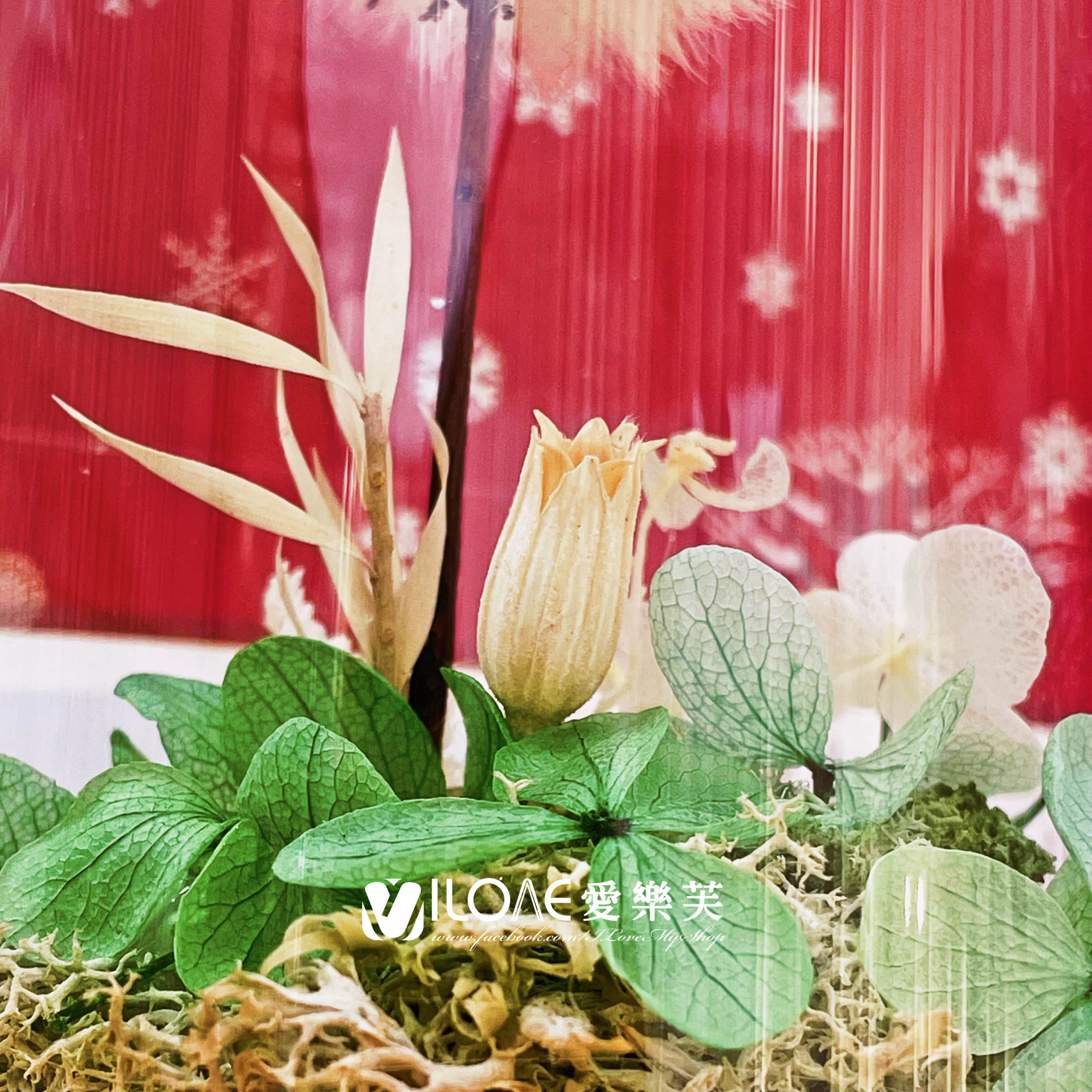 玻璃花盅<br><span style="font-size: 20px;">(雪國心願玻璃盅)</span>:圖片 4