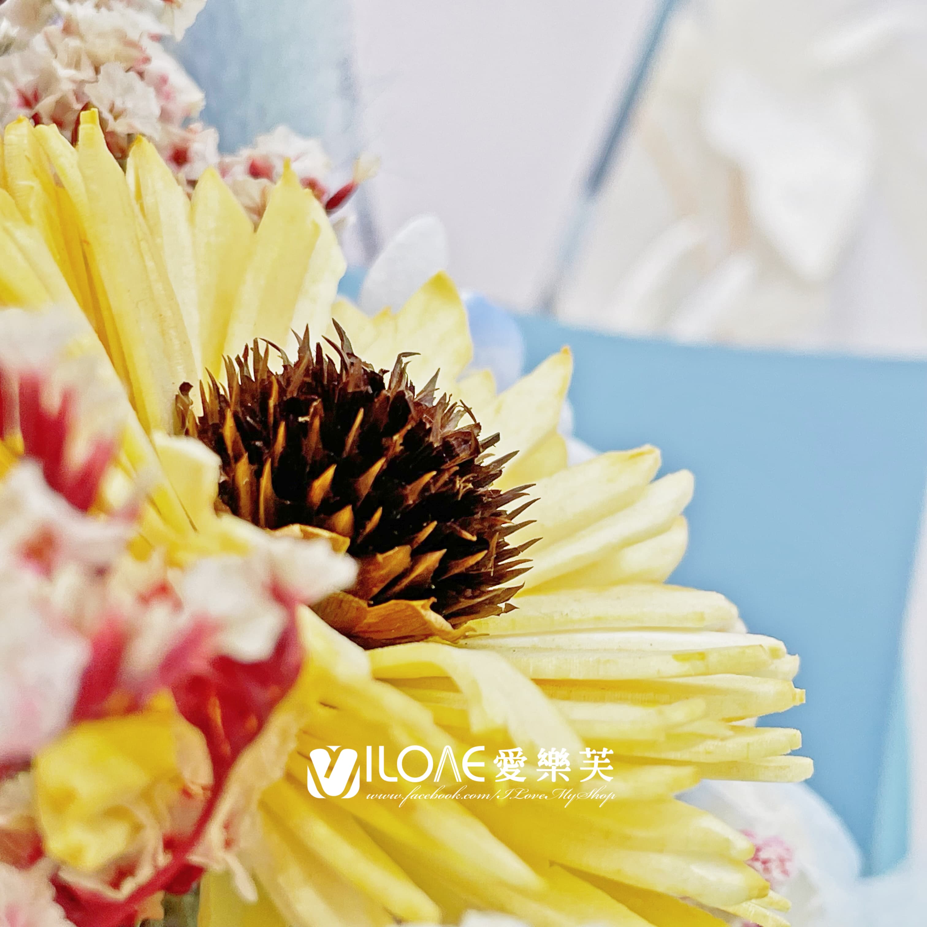 有錢花<br><span style="font-size: 20px;">(藍風向日暖陽花束)</span>:圖片 3