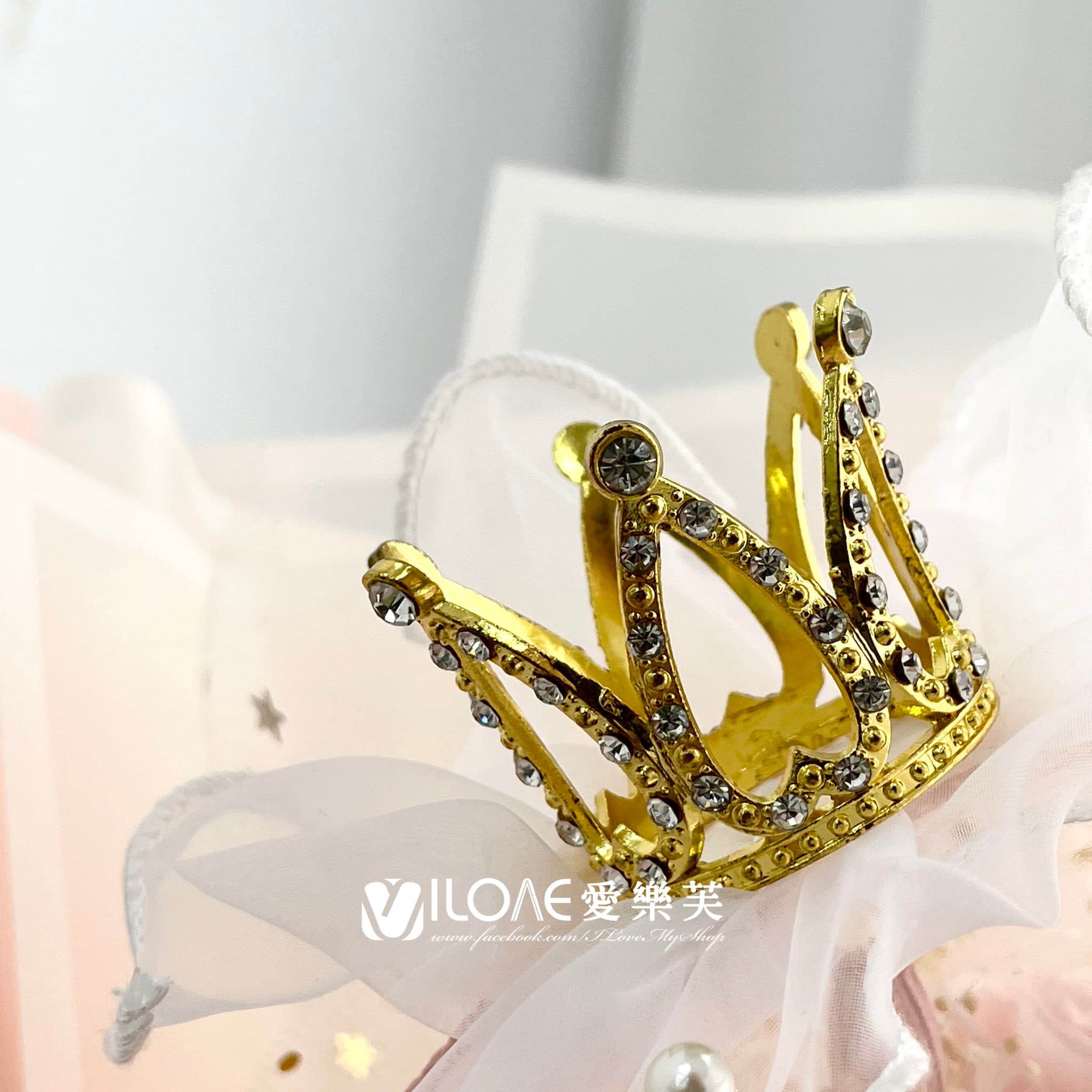 永生花<br><span style="font-size: 20px;">(夢幻裸粉)</span>:圖片 2