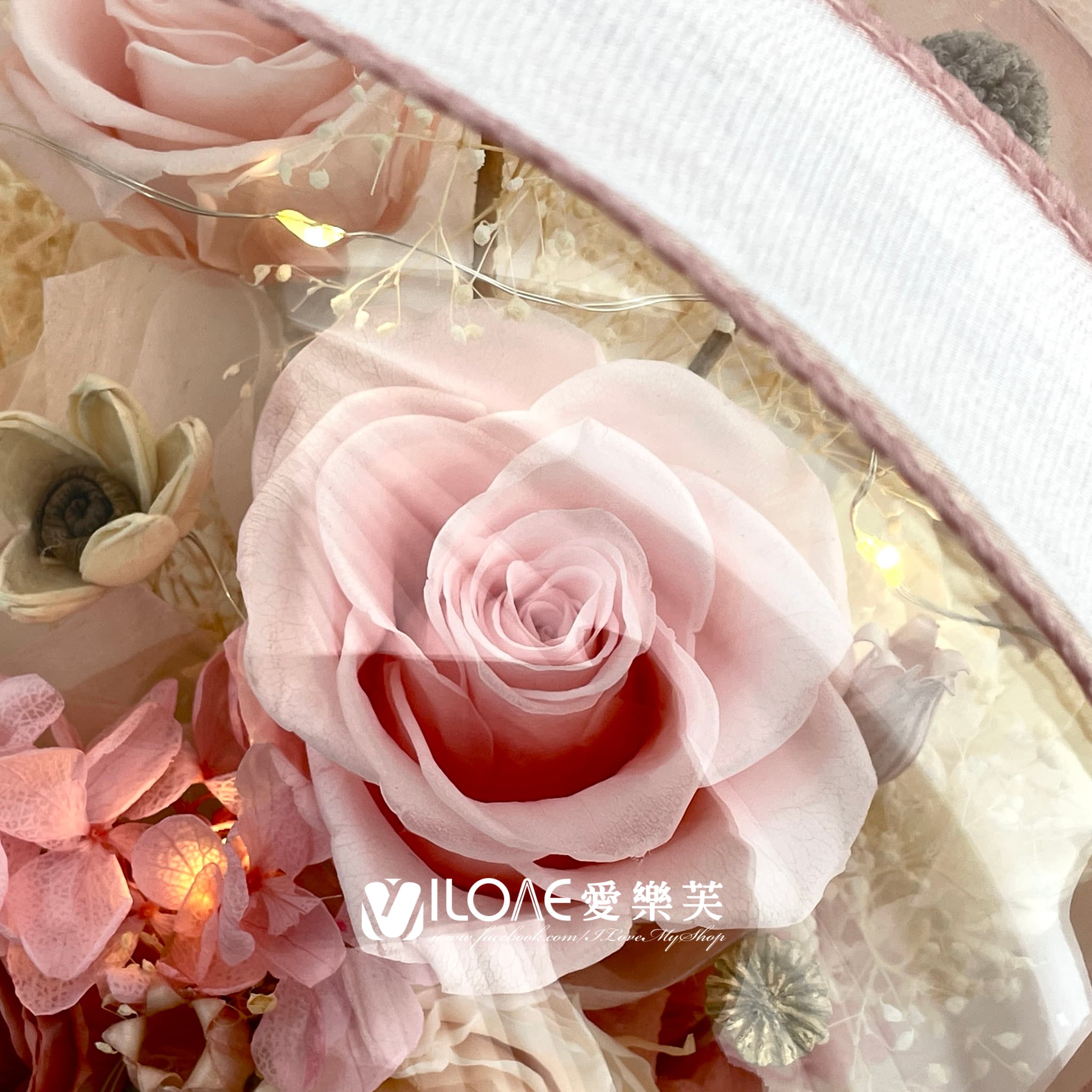 永生花<br><span style="font-size: 20px;">(夢幻裸粉)</span>:圖片 4