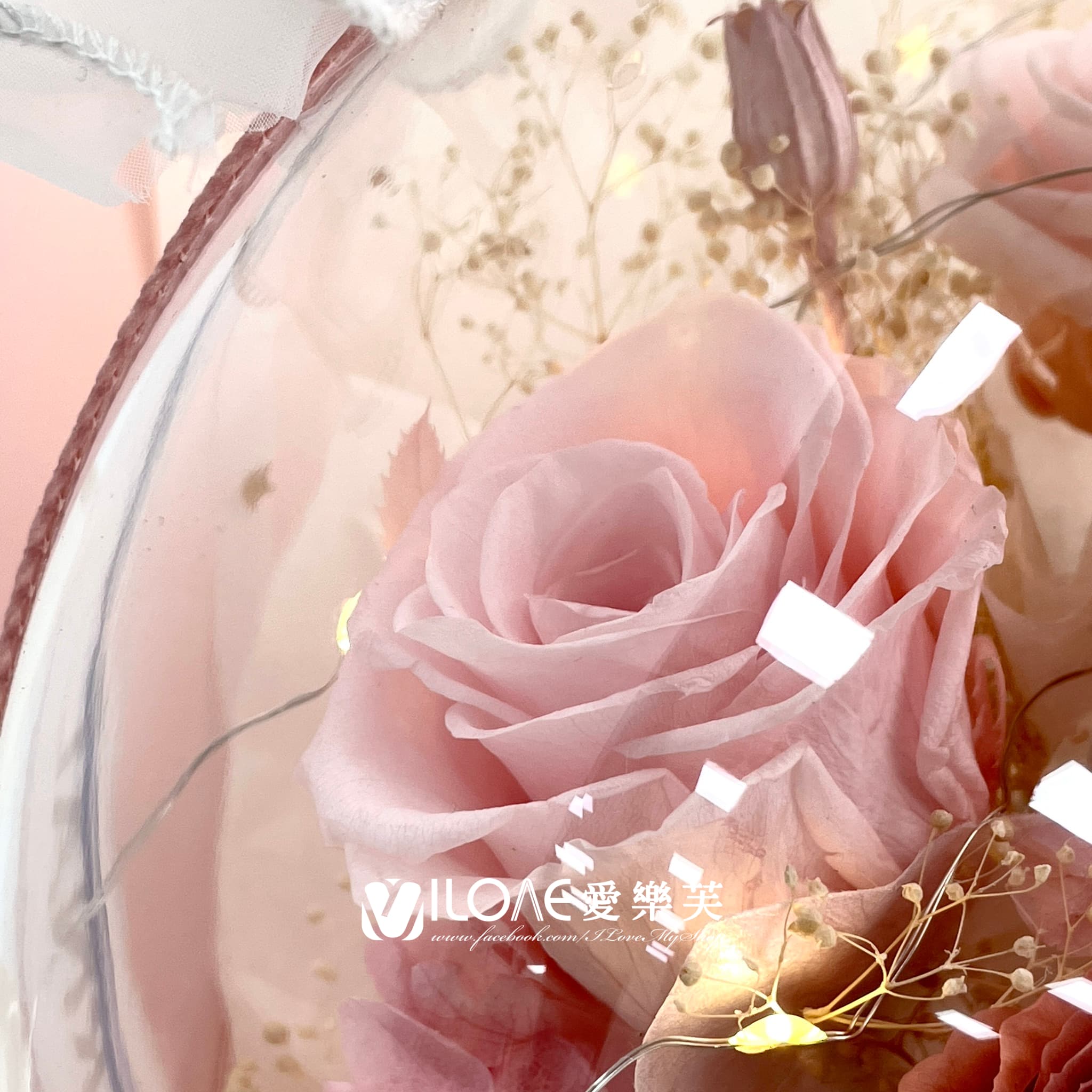 永生花<br><span style="font-size: 20px;">(夢幻裸粉)</span>:圖片 5