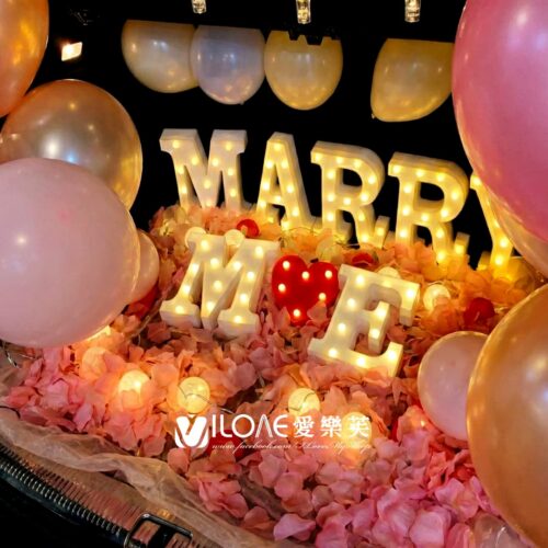 車廂佈置<br><span style="font-size: 20px;">(粉金誓約)</span>