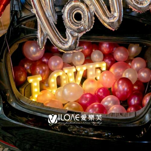 車廂佈置<br><span style="font-size: 20px;">(銀光戀曲)</span>