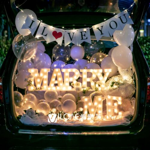 車廂佈置<br><span style="font-size: 20px;">(純白光語)</span>