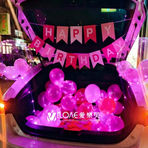 車廂佈置<br><span style="font-size: 20px;">(霓粉綺夢)</span>