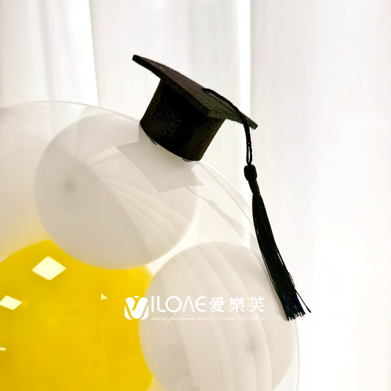 雛菊抱抱筒<br><span style="font-size: 20px;">(日光漫步)</span>:圖片 4