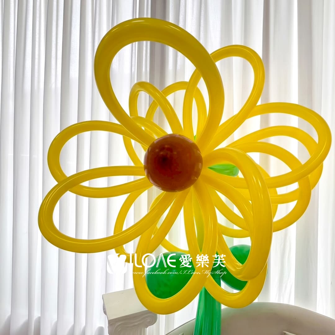 氣球花束<br><span style="font-size: 20px;">(迎向驕陽)</span>:圖片 3